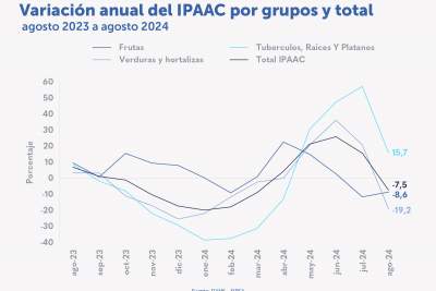 En agosto de 2024 el Índice de precios de alimentos IPAAC1 disminuyó 7,5 %