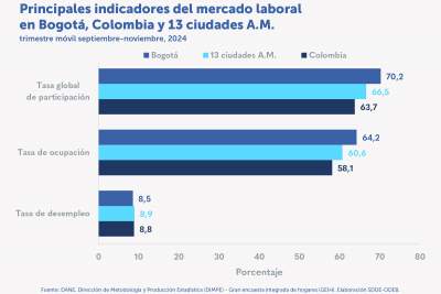 La tasa de desempleo disminuyó 0,2 p.p. en el trimestre septiembre-noviembre de 2024 