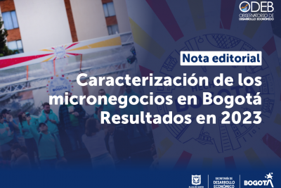 Caracterización de los micronegocios en Bogotá Resultados en 2023