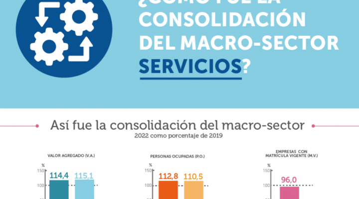 Infografía ¿Cómo fue la consolidación de macro-sector servicios? 2022
