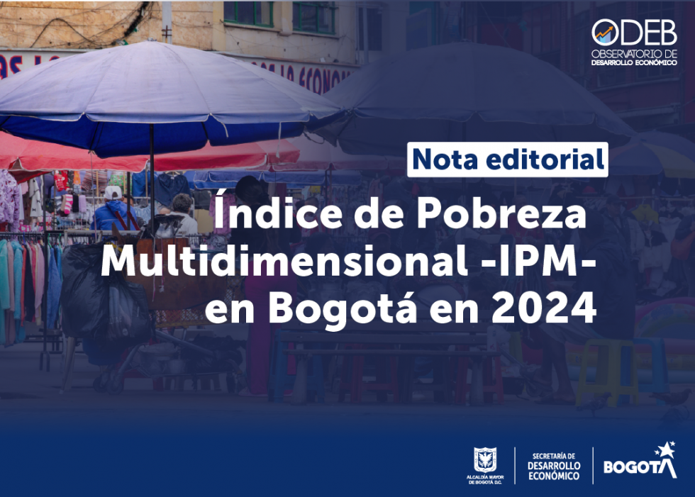 piezas_web_ne_ipm2024_notainterna