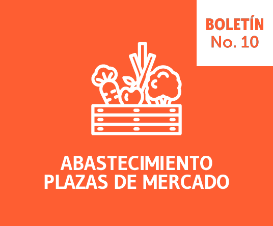 Home-Bol-PlazMerc N-010_Mesa de trabajo 1
